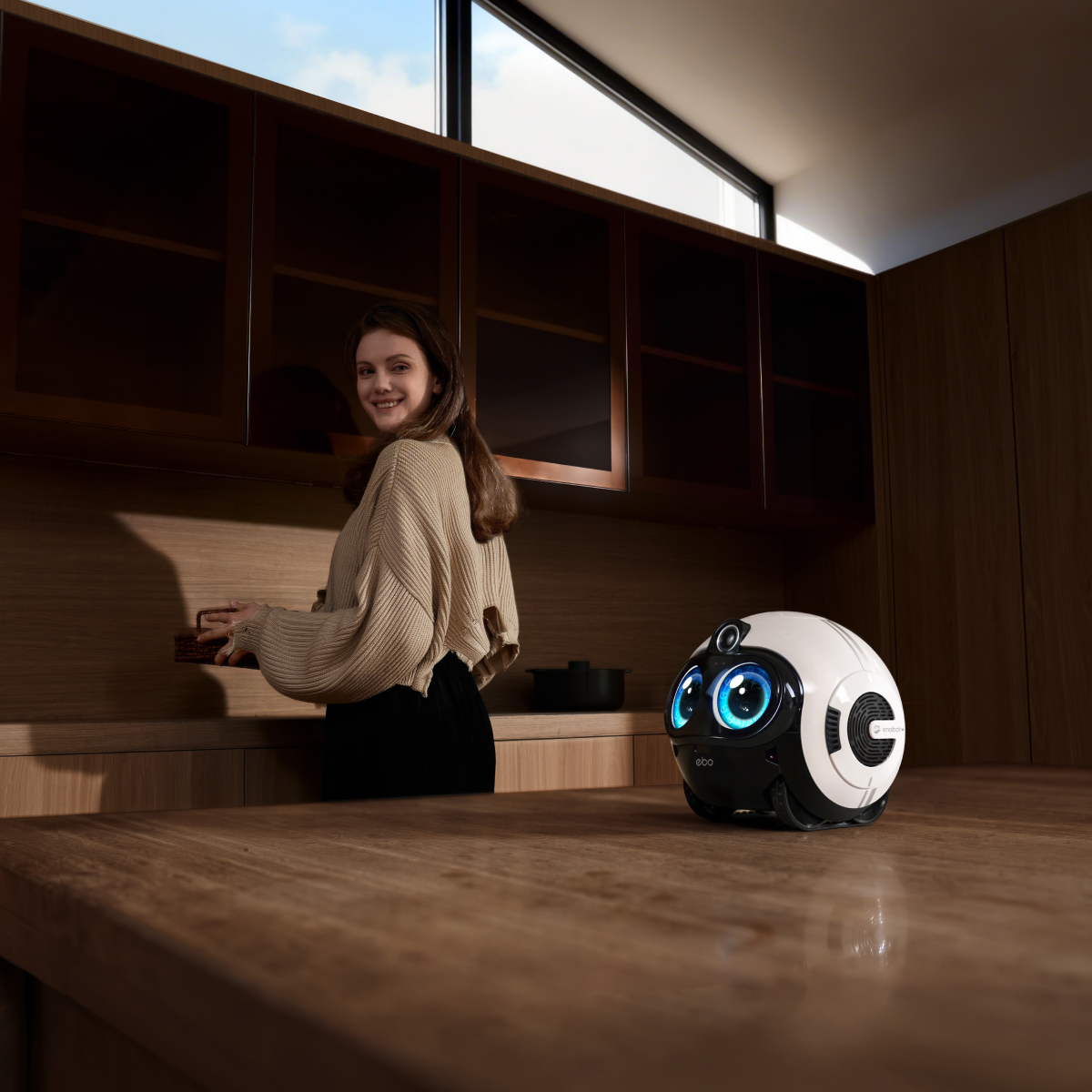 HOME ROBOTS