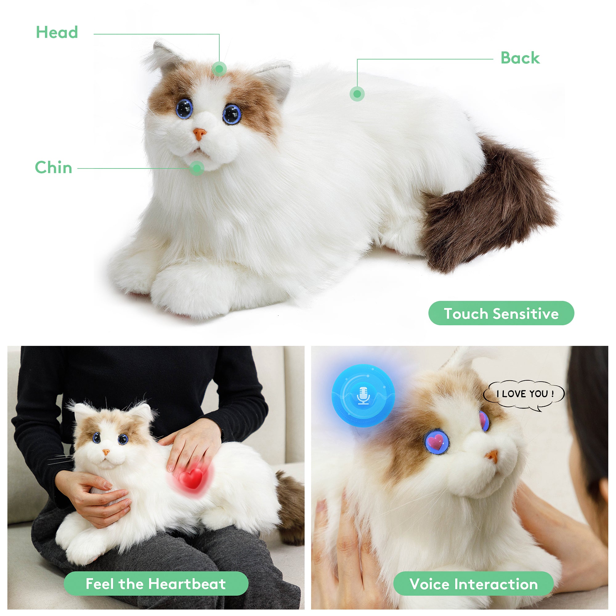 MetaCat
