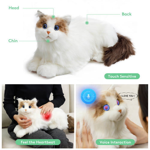 MetaCat