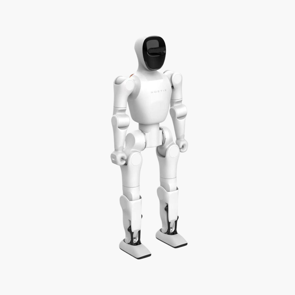 Bumi Robot (Pre-Order)