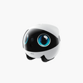 EBO Air 2S FamilyBot