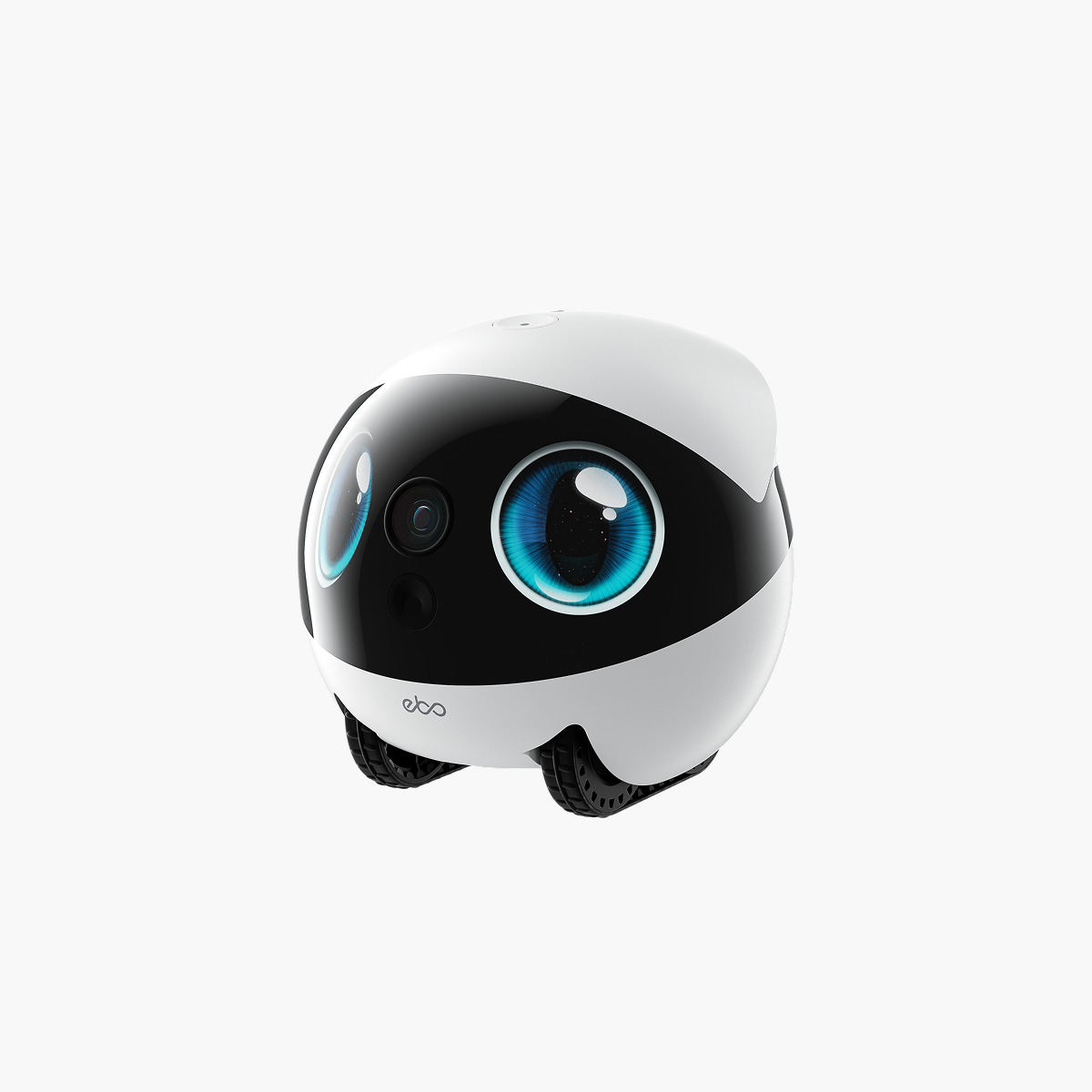 EBO Air 2S FamilyBot